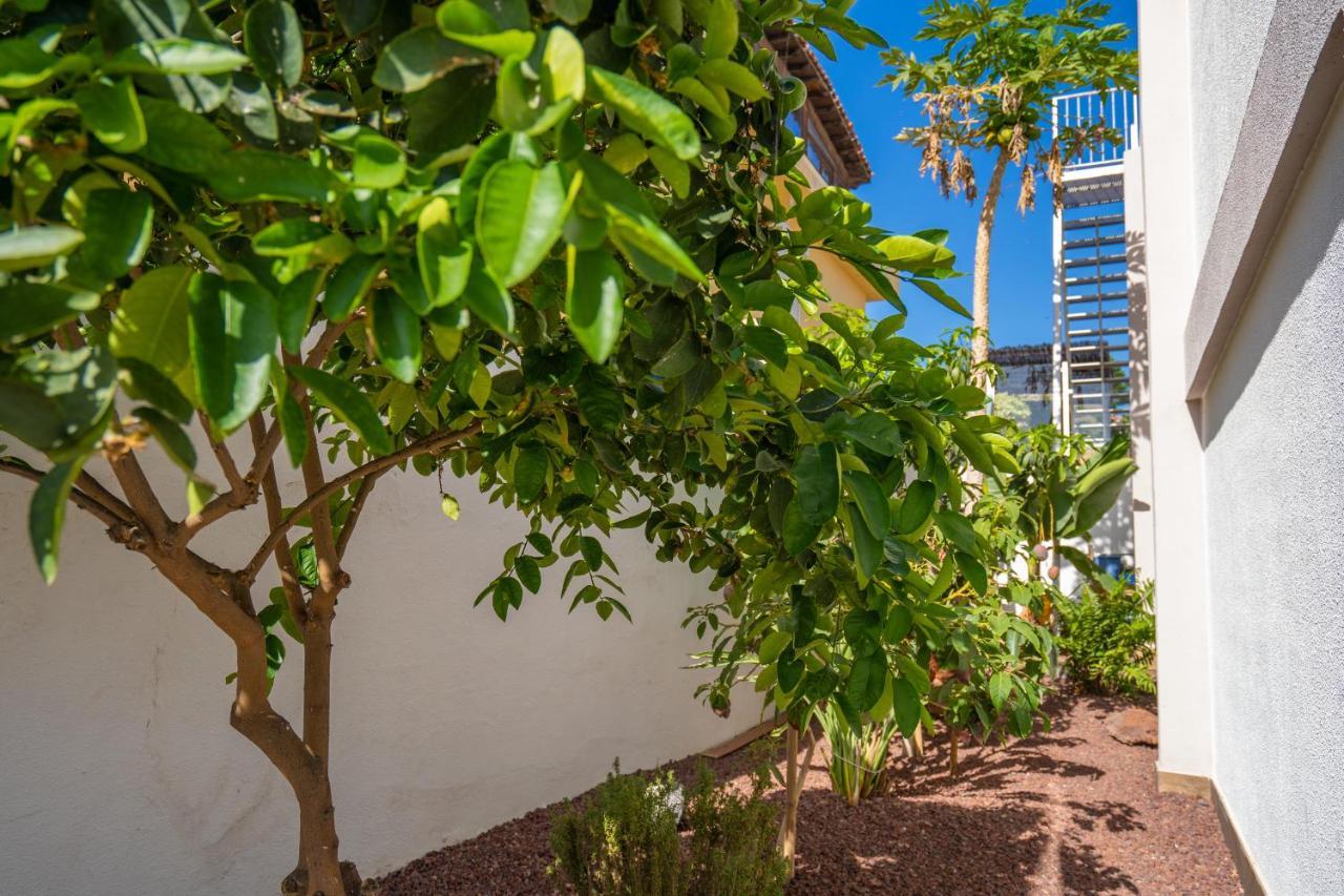 קיאו סלבאחה Villa La Laja With 5 Bedrooms And Sea View מראה חיצוני תמונה